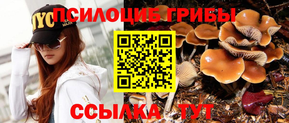 Каменск-Уральский  Галлюциногенные грибы Psilocybine cubensis  Вход с VPN 
